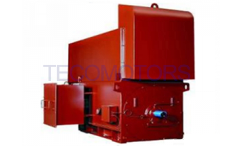 全密閉鋼制外殼高壓電機AEZK-功率框號清單-WUXI TECO 全密閉鋼制外殼高壓電機AEZK-功率框號清單-WUXI TECO