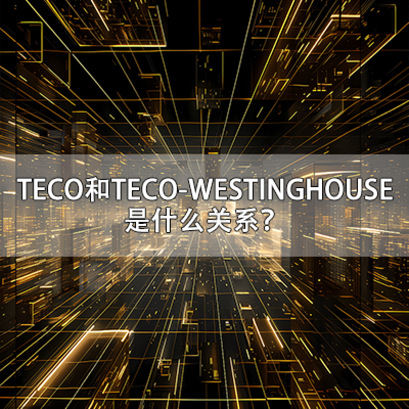 臺灣東元電機（TECO）和美國西屋電機（TECO-WESTINGHOUSE）是什么關(guān)系